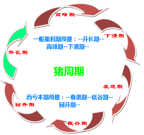 如何破解價(jià)格怪圈 化解“豬周期”風(fēng)險(xiǎn)？